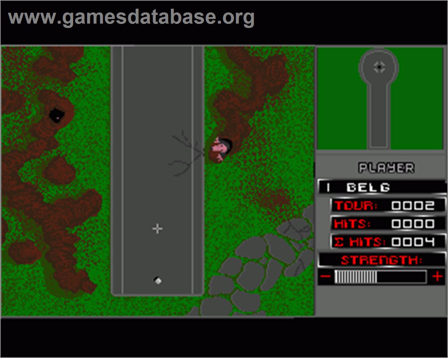 Mini Golf Plus - Commodore Amiga - Artwork - In Game